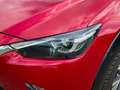 Mazda CX-3 Exclusive I AWD I CAR-PLAY I SHZ I LED Rouge - thumbnail 3