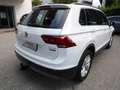 Volkswagen Tiguan 2,0TDI 150PS DSG 4MOTION COMFORTLINE *GANCIO*CAM* Bianco - thumbnail 4