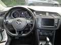Volkswagen Tiguan 2,0TDI 150PS DSG 4MOTION COMFORTLINE *GANCIO*CAM* Bianco - thumbnail 10