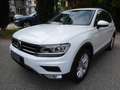 Volkswagen Tiguan 2,0TDI 150PS DSG 4MOTION COMFORTLINE *GANCIO*CAM* Bianco - thumbnail 1