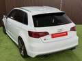 Audi S3 SB 2,0 TFSI quattro S-tronic Weiß - thumbnail 12