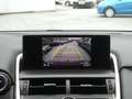 Lexus NX 300h 2.5i AWD Executive Cuir, Navi, Pano, Camera, PDC Zwart - thumbnail 12