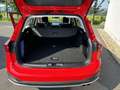 Ford Focus Turnier ''Active'' 1.0 EcoBoost Mild-Hybrid Winter Rot - thumbnail 13