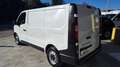 Fiat Talento 2.0 Ecojet 120CV PC-TN Furgone 12q N°GG117 Blanc - thumbnail 13