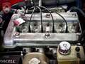 Alfa Romeo Spider Spider 1.6 Fastback * top gewartet crvena - thumbnail 13