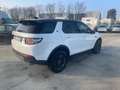Land Rover Discovery Sport 2.0 td4 SE awd 150cv Wit - thumbnail 3