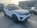 Land Rover Discovery Sport 2.0 td4 SE awd 150cv Wit - thumbnail 2