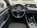 Mazda 3 Mazda3 4SN 2.5L e-SKYACTIV G 140ps 6MT 2WD EXCLUSIVE-LINE Rot - thumbnail 7