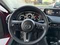 Mazda 3 Mazda3 4SN 2.5L e-SKYACTIV G 140ps 6MT 2WD EXCLUSIVE-LINE Rot - thumbnail 19