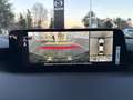 Mazda 3 Mazda3 4SN 2.5L e-SKYACTIV G 140ps 6MT 2WD EXCLUSIVE-LINE Rot - thumbnail 21