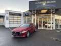 Mazda 3 Mazda3 4SN 2.5L e-SKYACTIV G 140ps 6MT 2WD EXCLUSIVE-LINE Rot - thumbnail 14