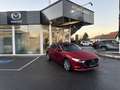 Mazda 3 Mazda3 4SN 2.5L e-SKYACTIV G 140ps 6MT 2WD EXCLUSIVE-LINE Rot - thumbnail 13
