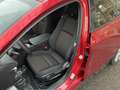 Mazda 3 Mazda3 4SN 2.5L e-SKYACTIV G 140ps 6MT 2WD EXCLUSIVE-LINE Rot - thumbnail 10