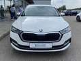 Skoda Octavia Combi 2.0 TDI Style NAVI-COLUMBUS+AHK+LE Weiß - thumbnail 7