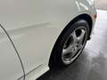 Mercedes-Benz E 500 4Matic AMG Sport*SHD*Sound*Kamera Weiß - thumbnail 15
