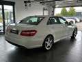 Mercedes-Benz E 500 4Matic AMG Sport*SHD*Sound*Kamera Weiß - thumbnail 4