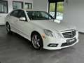 Mercedes-Benz E 500 4Matic AMG Sport*SHD*Sound*Kamera Weiß - thumbnail 5