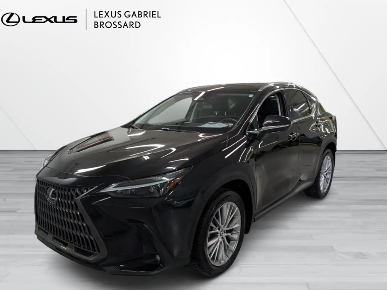 2024 Lexus NX