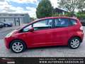Honda Jazz 1.2 Trend Klima Bord 5-Sitz. Rot - thumbnail 11