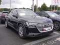 Audi e-tron 55 quattro Navi SHZ Park-Assist Tempomat Negru - thumbnail 5