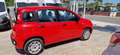Fiat Panda Panda 1.2 Lounge easypower Gpl 69cv Rosso - thumbnail 5
