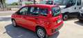 Fiat Panda Panda 1.2 Lounge easypower Gpl 69cv Rosso - thumbnail 3