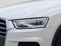 Audi Q3 1.4 16V TFSI ~8Fach bereift~gepflegt Weiß - thumbnail 6