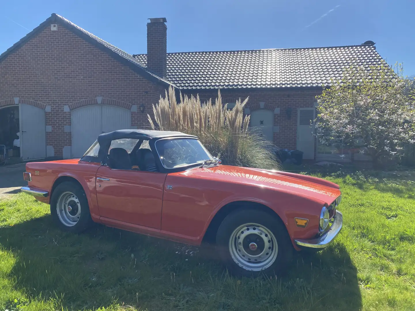 Triumph TR6 - 2