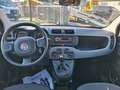Fiat Panda Panda 1.0 FireFly S&S Hybrid Bleu - thumbnail 6