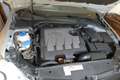 Volkswagen Golf Golf 5p 1.6 TDI Highline Cambio DSG Automatico 7 M Argento - thumbnail 8