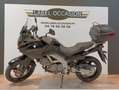 Suzuki Noir - thumbnail 4