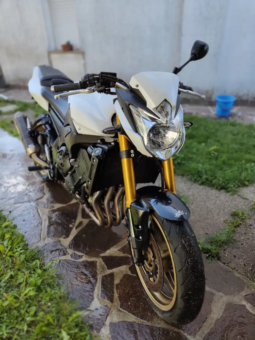 Yamaha FZ 8 Bianco - 1