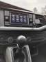 Volkswagen T6.1 Transporter 2 .0 TDI  150 CV 4motion Business  P.L. Bianco - thumbnail 12