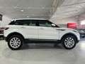 Land Rover Range Rover Evoque 2.0TD4 HSE 4WD Aut. 150 Blanc - thumbnail 11