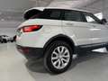 Land Rover Range Rover Evoque 2.0TD4 HSE 4WD Aut. 150 Blanc - thumbnail 9