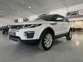 Land Rover Range Rover Evoque 2.0TD4 HSE 4WD Aut. 150 Blanc - thumbnail 3