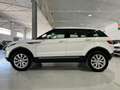 Land Rover Range Rover Evoque 2.0TD4 HSE 4WD Aut. 150 Blanc - thumbnail 5
