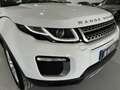 Land Rover Range Rover Evoque 2.0TD4 HSE 4WD Aut. 150 Blanc - thumbnail 13