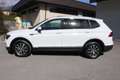 Volkswagen Tiguan 2,0 TDI SCR 4Motion Allspace Comfortline DSG Weiß - thumbnail 8