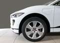 Jaguar I-Pace EV320 SE Navi Leder ACC 360°Kamera Standheizung Blanc - thumbnail 9