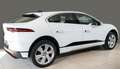 Jaguar I-Pace EV320 SE Navi Leder ACC 360°Kamera Standheizung Blanc - thumbnail 8