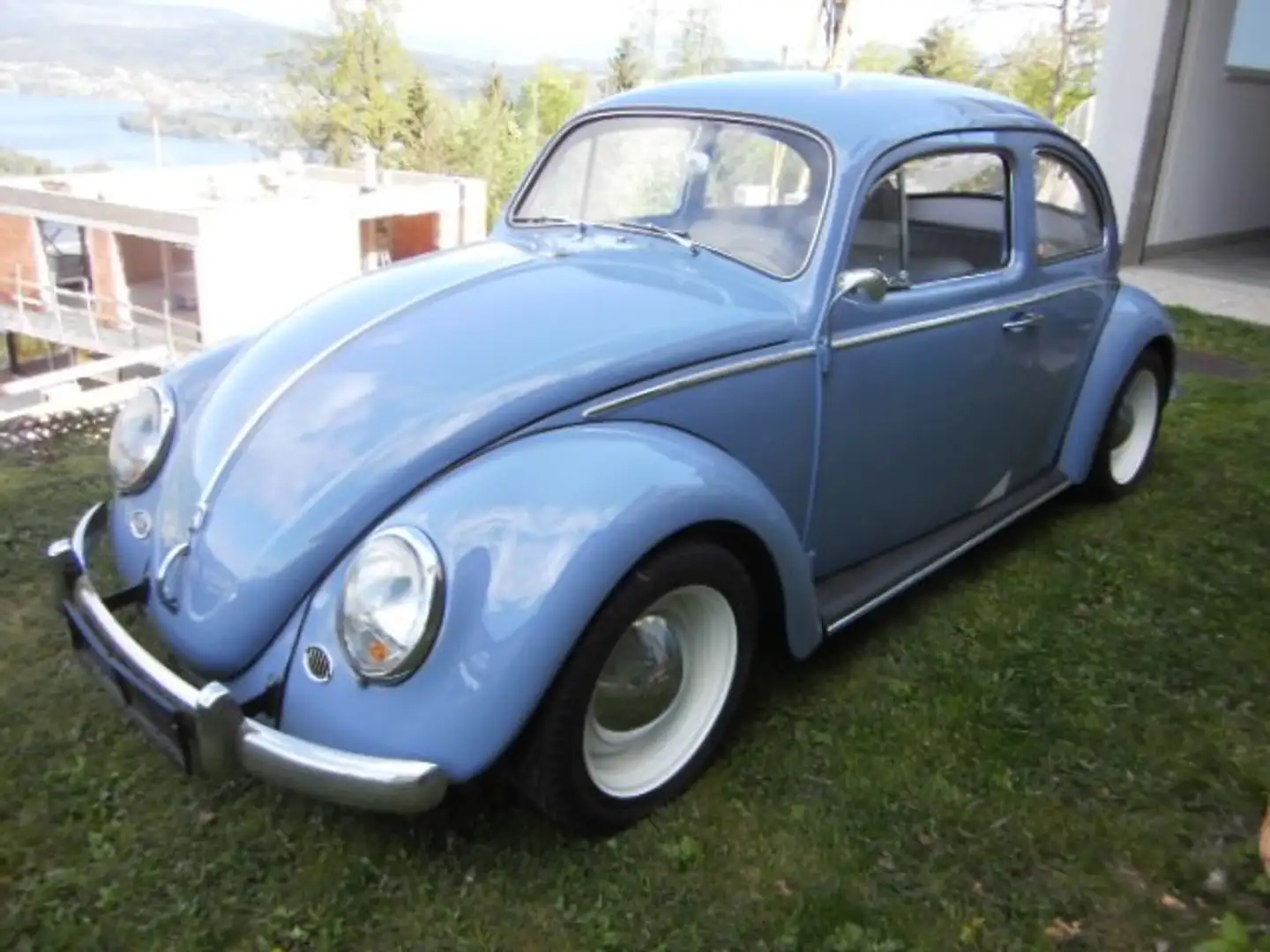 Volkswagen Käfer - 1