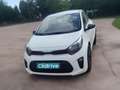 Kia Picanto 1.0 Concept Blanco - thumbnail 2