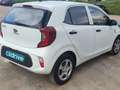 Kia Picanto 1.0 Concept Blanco - thumbnail 3