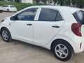 Kia Picanto 1.0 Concept Blanco - thumbnail 4