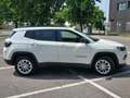Jeep Compass 1.5 Turbo T4 130 CV MHEV 2WD Limited Bianco - thumbnail 4