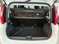 Fiat Panda 1.0 FireFly S&S Hybrid City Life Bianco - thumbnail 13