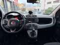 Fiat Panda 1.0 FireFly S&S Hybrid City Life Bianco - thumbnail 8