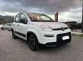 Fiat Panda 1.0 FireFly S&S Hybrid City Life Bianco - thumbnail 2
