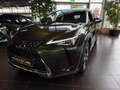 Lexus UX 250h Style Edition MY22 LED KAM DAB+ Vert - thumbnail 3